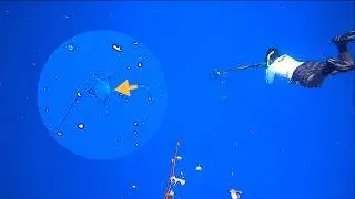 Intent&eacute; la pesca submarina en alta mar! (Pesca con arp&oacute;n en  Playa del Carmen)