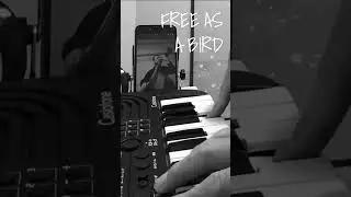FREE AS A BIRD #contrabass #jazz #beetles #shorts