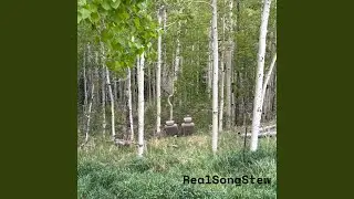 That one dead tree I like