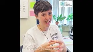 How can we see the internal 3D structures in an organism?