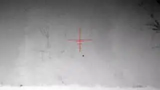 Positive identification Raccoon at 433 yards. ATN Thor 4 640x480 4-40 thermal scope