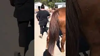 Assessment Video 3