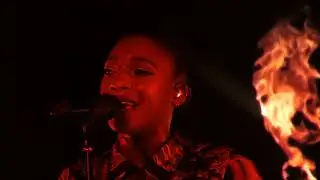 Little Simz - Lotus Tour (Live in Brooklyn)