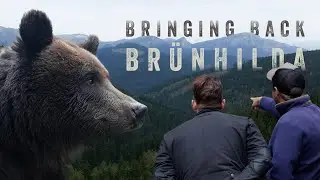 Bringing Back Br&uuml;nhilda - A Jimmy's Farm Story