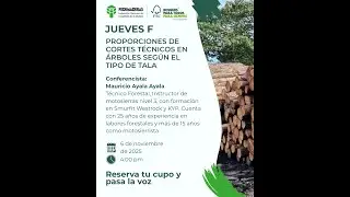 Jueves F: proporciones de cortes técnicos en árboles según el tipo de tala