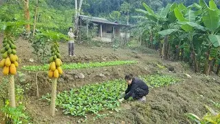KONG  NHAT went up the mountain together to plant more vegetables to serve during the Lunar New Year