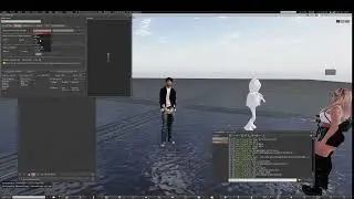 Import rigged mesh to Second Life