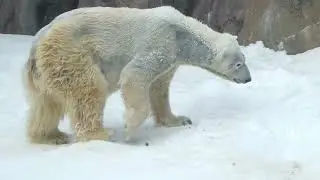 スリスリ〜