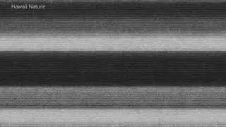 TV STATIC NOISE (Snow Screen) - Mask External Sounds - Study Sleep Tinnitus 🎧 WHITE NOISE