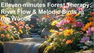 Elleven minutes Forest Therapy: River Flow & Melodic Birds in the Woods ग्यारह मिनट वन थेरेपी