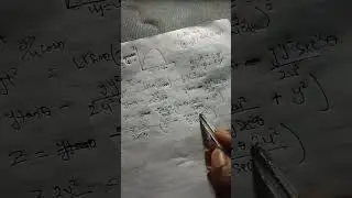 Прямая кишка