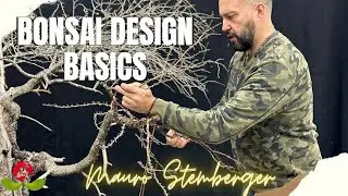 Bonsai Design Basics