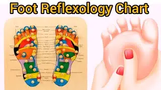 Reflexology Therapy!Detox foot 👣 massage therapy video! Priyanka Sharma 5 Days!Foot ReflexologyChart