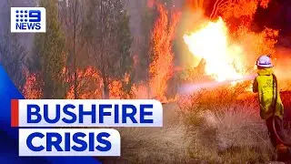 Queensland bushfires: Latest updates and warnings | 9 News Australia