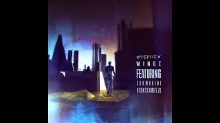 OVERVIEW MUSIC [ OVR003V : WINGZ ft SUBMARINE - kernschmelze - ] drum and bass