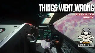 Not every hit goes smoothly - Star Citizen Piracy - 4.3