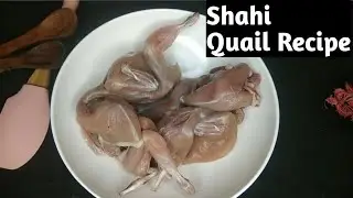 Shahi Mughlai Batair Korma | Quail Yummy Recipe By Shahina Kitchen |