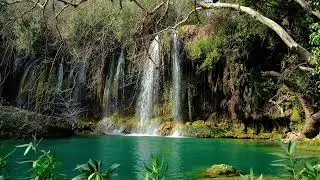 Emerald Green Forest Pond Fed by Several Peaceful  Waterfalls, Soft Music With Healing Alpha Waves.