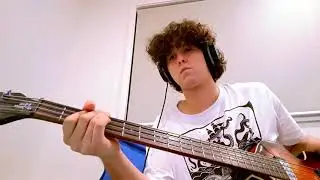 Only a Fool   Lemon Twigs (Bass Cover)