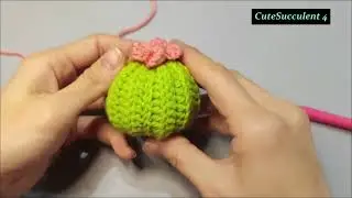 15.Succulent-Large cactus with flowers (Part 4), Red Flowers