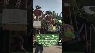 Who remembers A Bug&rsquo;s Land?
