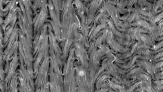 Bending instability in active nematics