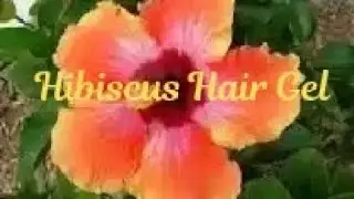 Hibiscus Hair Gel