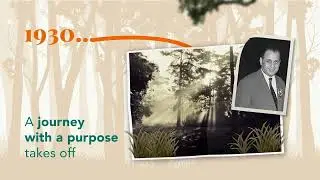 Himalaya Wellness Company's Journey through Time