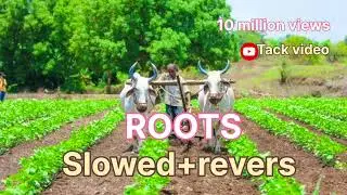 ROOTS। kp kunda and Bintu pabar । Roots 2024 song । Aman pal7278 gamer। roots new song ।