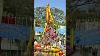 Medaram Sammakka Saralamma Jatara 2026 | Asia's Largest Tribal Festival | Powerful Devotional Song🪔🙏