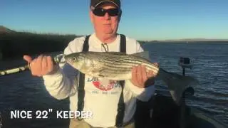 Fathers Day Striper Fishing