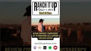 Review Corporate Transparency Act To Avoid Penalties & Superior Livestock Auction