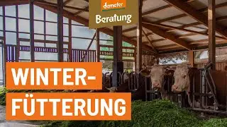 F&uuml;tterung f&uuml;r Milchk&uuml;he | Futterrationsgestaltung in der Winterf&uuml;tterung