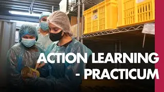 Action Learning: Operations Practicum | Asia School of Business