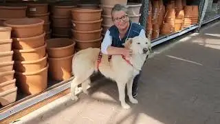 M&auml;delstag im Baumarkt!