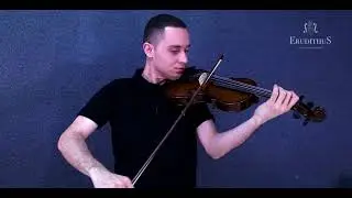 VIOLINO ERUDITHUS VP101H Review I Violino para iniciantes