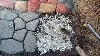 DIY: Lawn care Concrete Walkway,with Dry Concrete