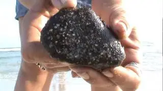 BP Tar balls on beach in Gulf Shores Alabama