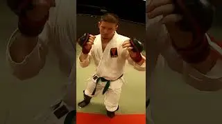 #shorts  Pystysparrin paloja vkolopulta