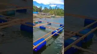 Keramba Apung King Community Layabaung