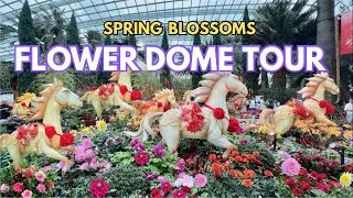 🌺 Spring Blossoms 2026 Flower Dome Tour | Year Of Horse 2026 | Singapore Gardens By The Bay