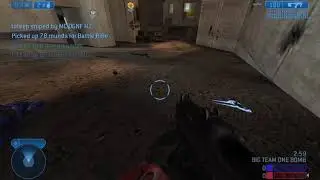 Halo 2 Bulltrue