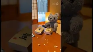 ぬい撮り　ぬい活　節分　豆まき 実演販売士ジャンプ中澤の相棒ポン太　#soralife #ぬい撮り #cute #sora