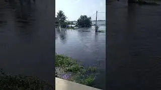 changanassery road #viralshort #shorts #earth #rain #kuttanad #flood #youtube