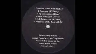 Reggie Reg-Presence of the past [radio] (1996)