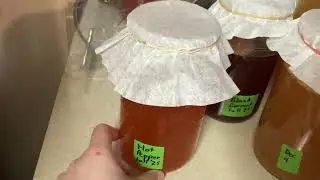WINTER HOMESTEAD KITCHEN PROJECTS | Vinegar & Kombucha