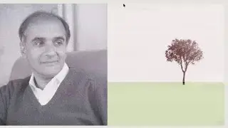 The art of stillness in a world that can’t stop moving | Pico Iyer