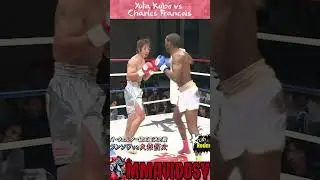 Knockdown and Knockout Krush 16 - Yuta Kubo vs Charles Francois #KRUSH #knockout #knocked