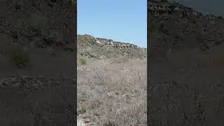 Дикилиташ с другой точки зрения #болгария