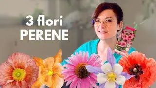 Ce semănăm &icirc;n IUNIE? 3 Flori perene!